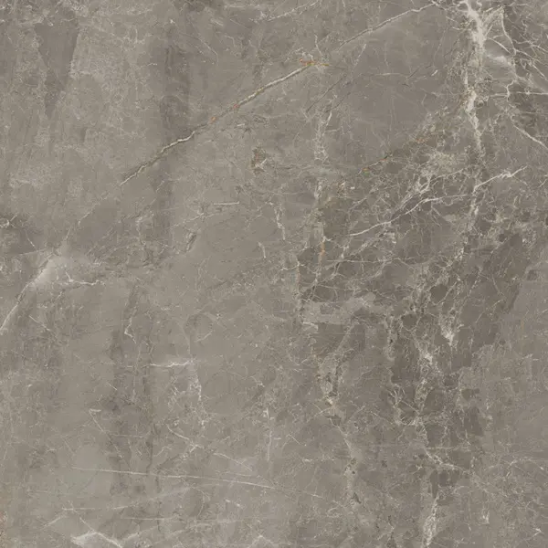 Cerdomus Sybil 83366 Silver Grip Ret 60x60