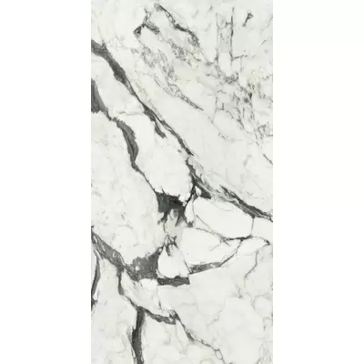 Rex Ceramiche Les Bijoux de Rex 765713 Calac Altissimo Mat 6mm Ret 120x240