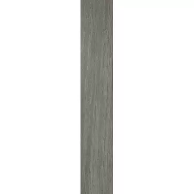 Casalgrande Padana Metalwood 7620195 Argento Naturale 120x20