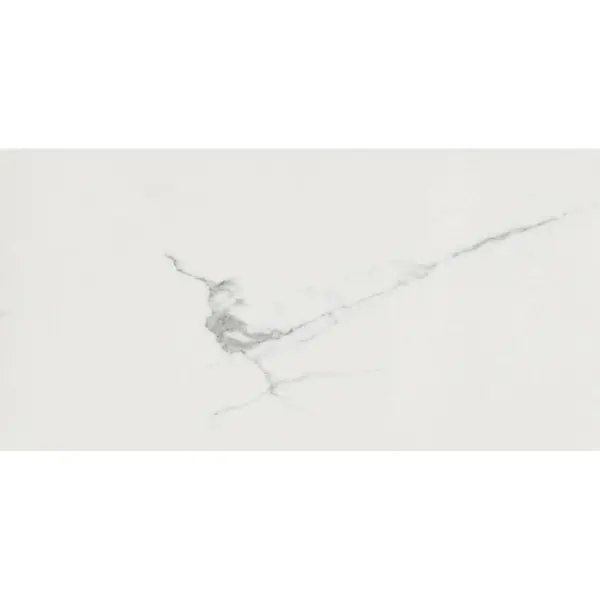Cerim Ceramiche Timeless 746808 Calacatta Luc 30x60