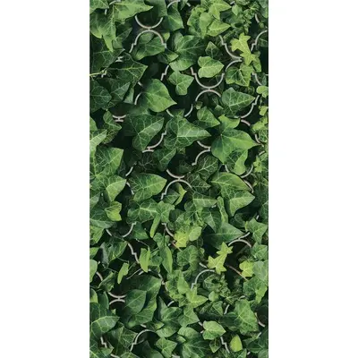 Grupa Paradyz Dream Uniwersalne Inserto Szklane 30x60