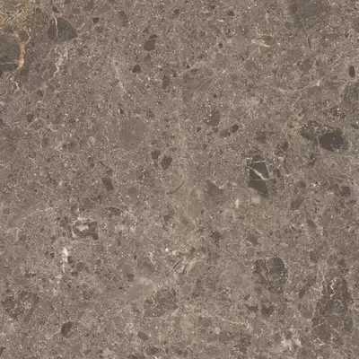 Grespania Artic 82RC25R Moka Natural 60x60