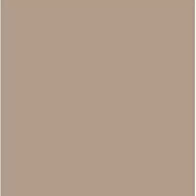 Rako Color One WAA1N301 Кофейная 20x20