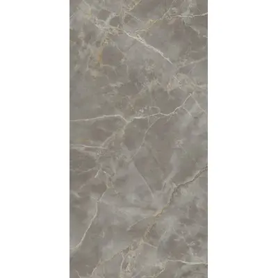 Atlas Concorde Plan AJRV Fior di Bosco Polished  6mm 160x320