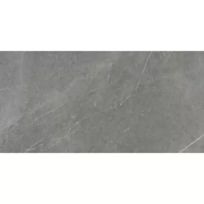 Ariostea Marmi Classici Grey Marble Luc 120x60