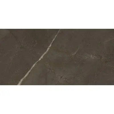 Kerranova Marble Trend K-1002/MR/300x600x9 Brown 9mm 30x60