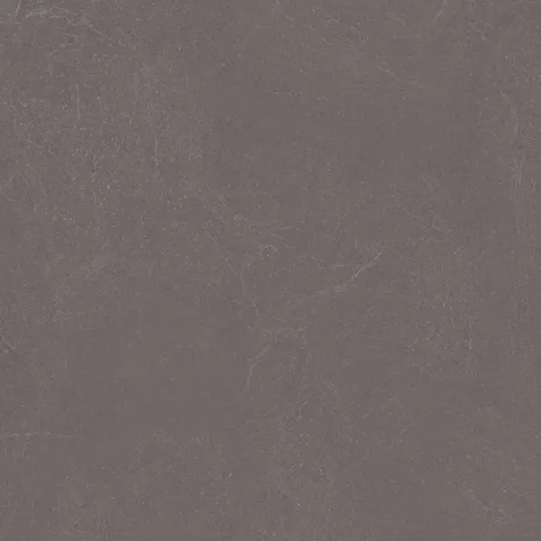 Ceradim Stone Notable Ash Матовый 60 60x60