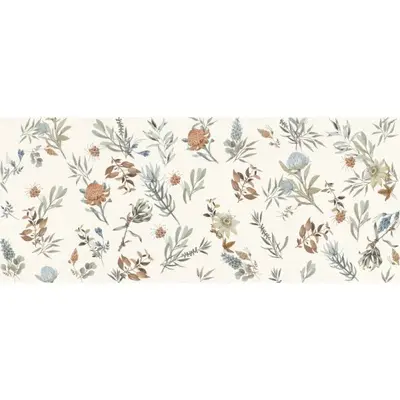 Marca Corona Mirabilia J142 Clorofilla 50x120