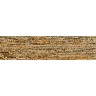 Saicis Patapum Dorato Levigato 11x45,5