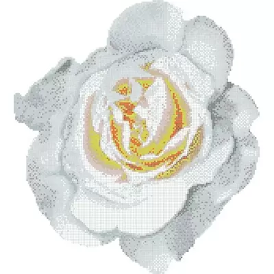 Bisazza Decori 20 06001103VL Rosa Bianca 336x375