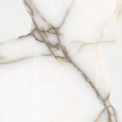 ITC Moon Onyx White Sugar 60x60