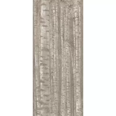 Atlas Concorde Boost Pro A0LW Grove 120x278