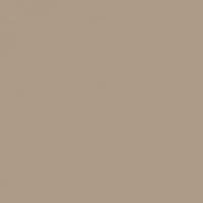 Rako Color One WAA1N311 Коричневая 20x20
