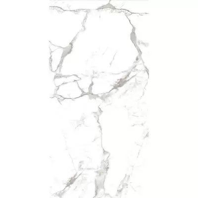 Art&amp;Natura Ceramica Marmo Calacata Vagli Super White Glossy 60x120
