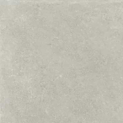 Venis Verbier Silver 59.6x59.6