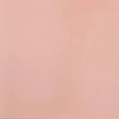 Casalgrande Padana R-evolution 11951135 Light Pink R10 60x60