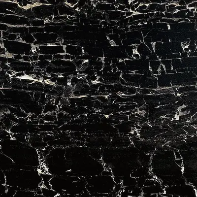 Ceramica Fioranese Prestige M3608R Portoro effect matt 60x60