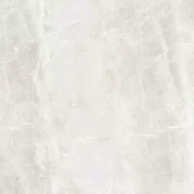 Leopard Rock Pearl 60x60