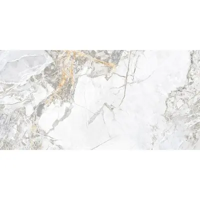 LCM Skyros 60120SKY25P Silver Полированный 60x120