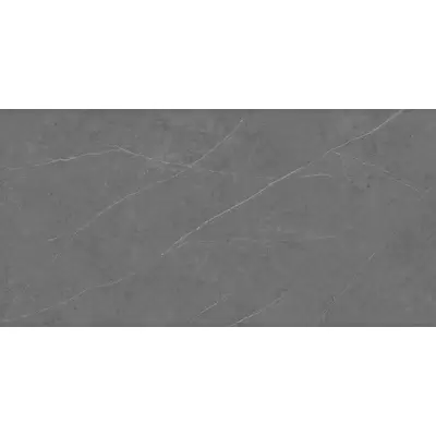 Xlight Liem Grey Polished 250 120x250