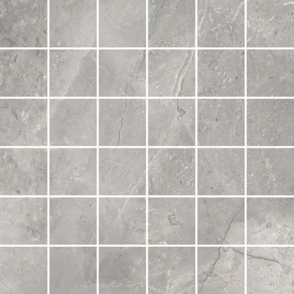 Cerrad Masterstone 5903313319560 Silver 29,7x29,7