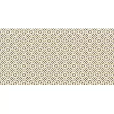 Panaria Aisthesis PGZAS0C Cerchi Bianco 50x100