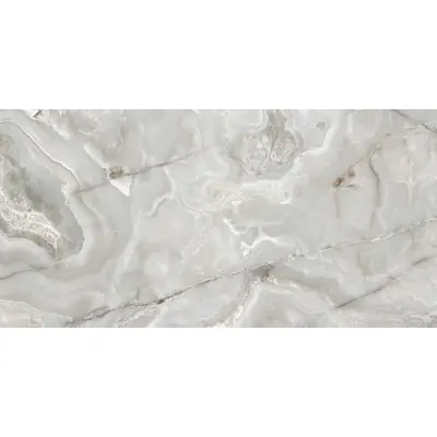 Stone Onyx Silver Onyx Glossy 120x240