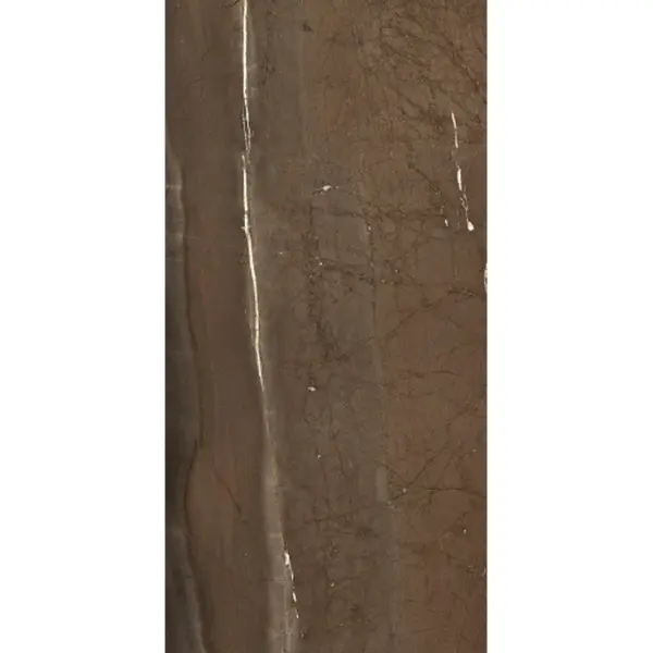 Pamesa XXL 046.869.0109.09565 Jatoba Brown Pol Rett 60x120 - керамическая плитка и керамогранит