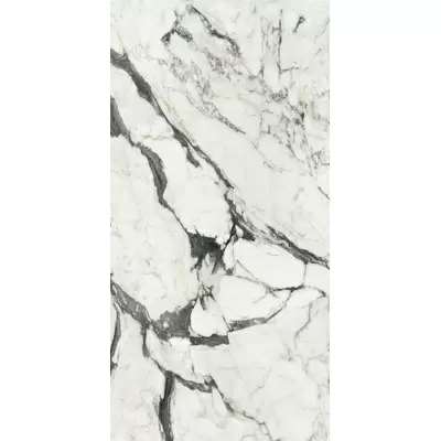 Rex Ceramiche Les Bijoux de Rex 765682 Calac Altissimo Mat 6mm Ret 120x280