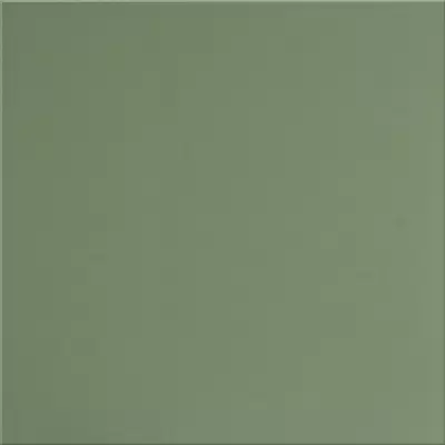 Уральский гранит Моноколор UF007MR Зеленый Матовый 60x60