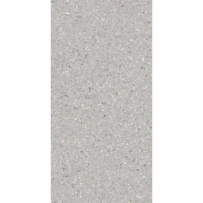 Wifi ceramics Terrazzone FP12618 Ash Honed 60x120