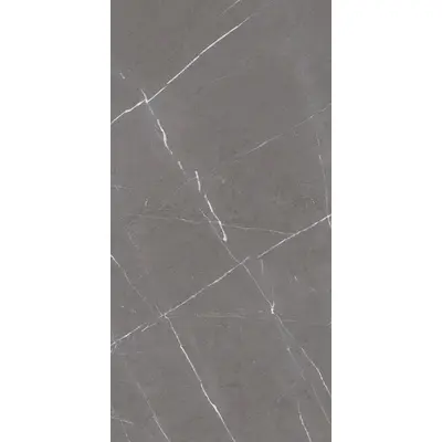 Saime ceramiche Cave 8600246/A Grafite Mat Ret 60x120