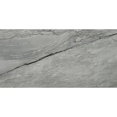 Roca Marble Platinum Gris 60x120
