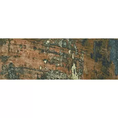 Baldocer Kunny Kunny 17.5x50