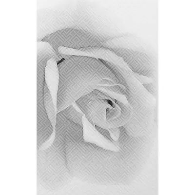 Шахтинская плитка Камелия Черная 02 25x40 40x25