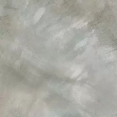 Roberto Cavalli Home Bright Pearl Silver Lapp 80x80