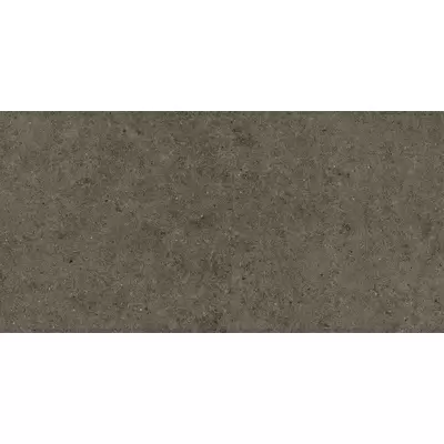 Atlas Concorde Boost Stone A6R5 Tobacco 30x60
