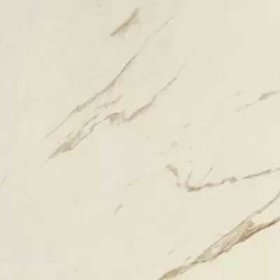 Versace Marble 240011 Bianco Calacatta Lapp. 58.5x58.5