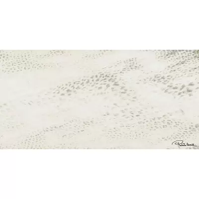 Roberto Cavalli Home Giaguaro mask Lappato Bianco Firma11 60x120