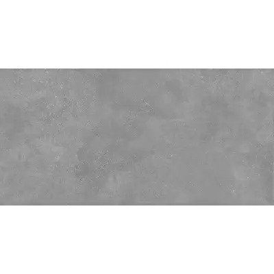 Rako Betonico DAKV1791 Серый 60x120