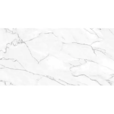 Pamesa Lincoln White 60x120