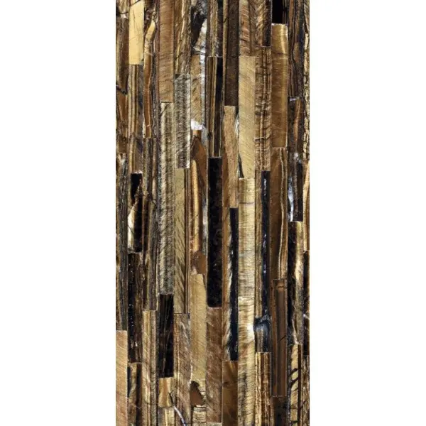 Roberto Cavalli Home The Wild Spirit 0502013 Tiger Gold Lx 59,6x119,2