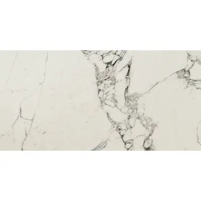 Ceramica Fioranese Prestige M3713R Arabescato effect matt 74x148