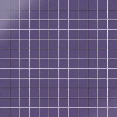CE.SI. Lucidi 2.5x2.5 Orchidea Su Rete 30x30
