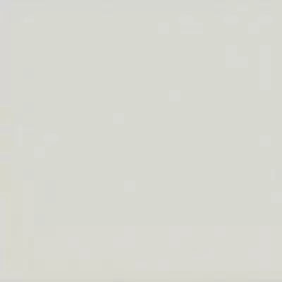 Equipe Evolution 20957 Gris Claro Brillo 15x15