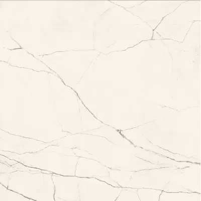 Imola ceramica The Room STA VP6 120 RM 120x120