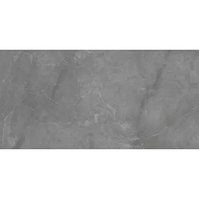 Staro Slim Barcelona Grey 60x120