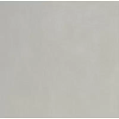 Panaria Experience PG8EX25 Grigio Vivo 100x100