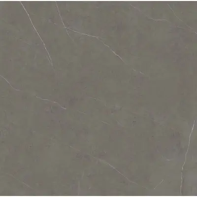 Xlight Liem Xlight Grey Silk 150 150x150