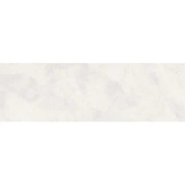 Ergon Cornerstone Evolution EN96 Slate Superwhite Naturale Ret 60x120
